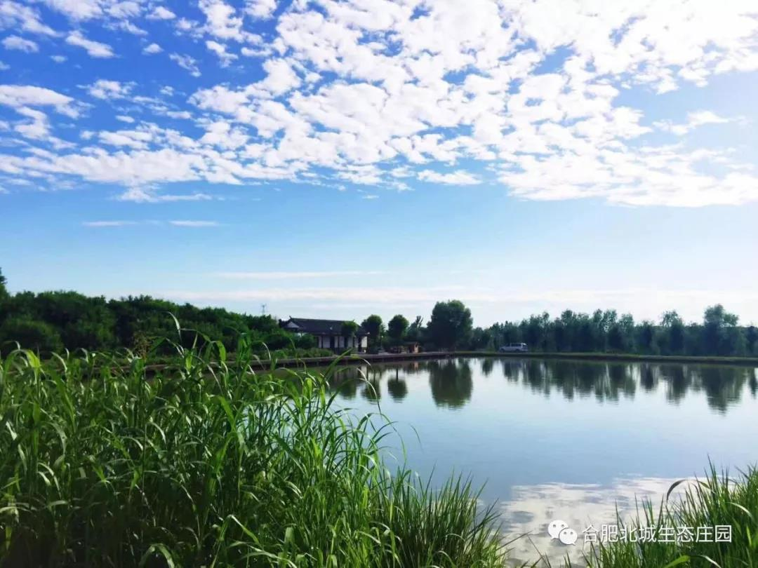 合肥北城——生態養生莊園